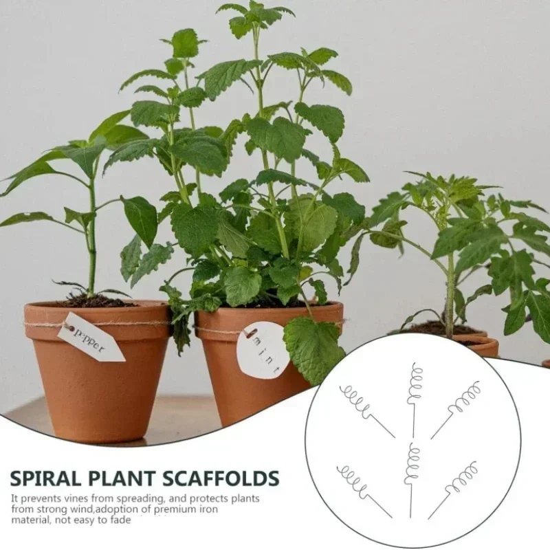 Bonsai Garden Usa - Support de plantes grimpantes, piquets en