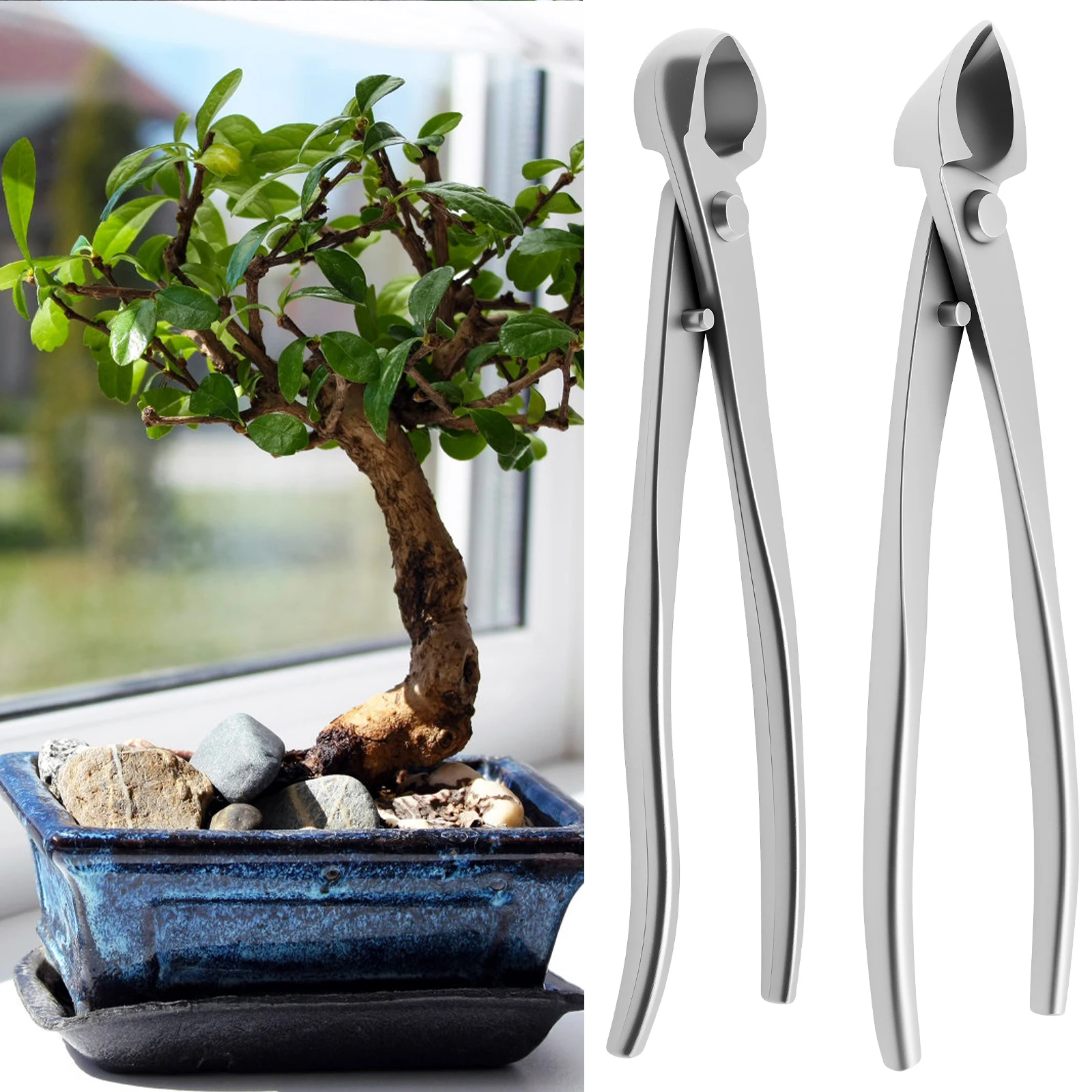 Bonsai Garden Timings - Kit d'entretien pour Bonsaï en Acier