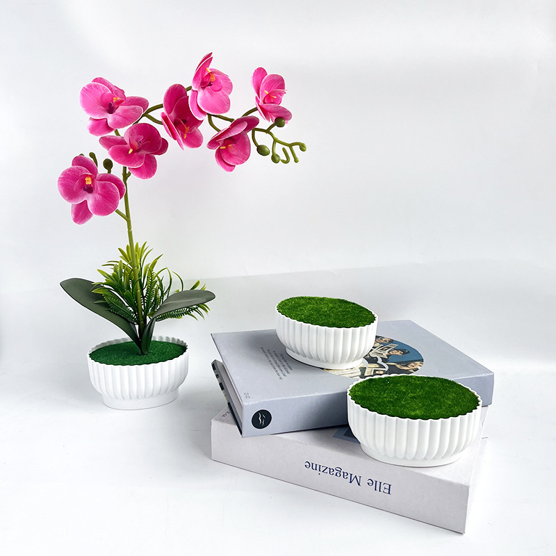Bonsai Garden Shop - Procédé de moulage par injection résistant