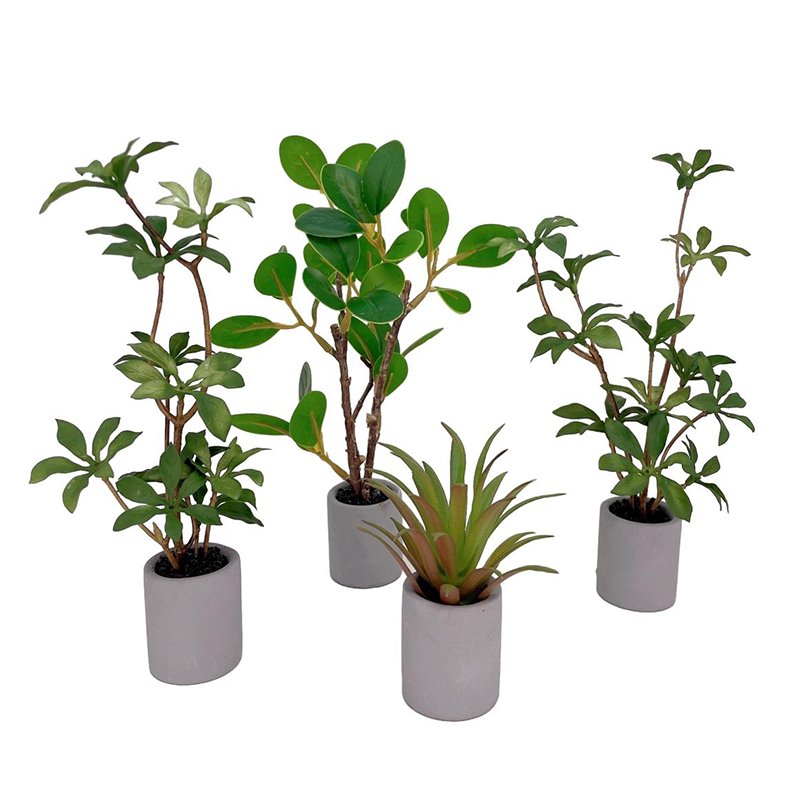 Bonsai Garden Miniature - Plante l'inventaire en pot pour maison