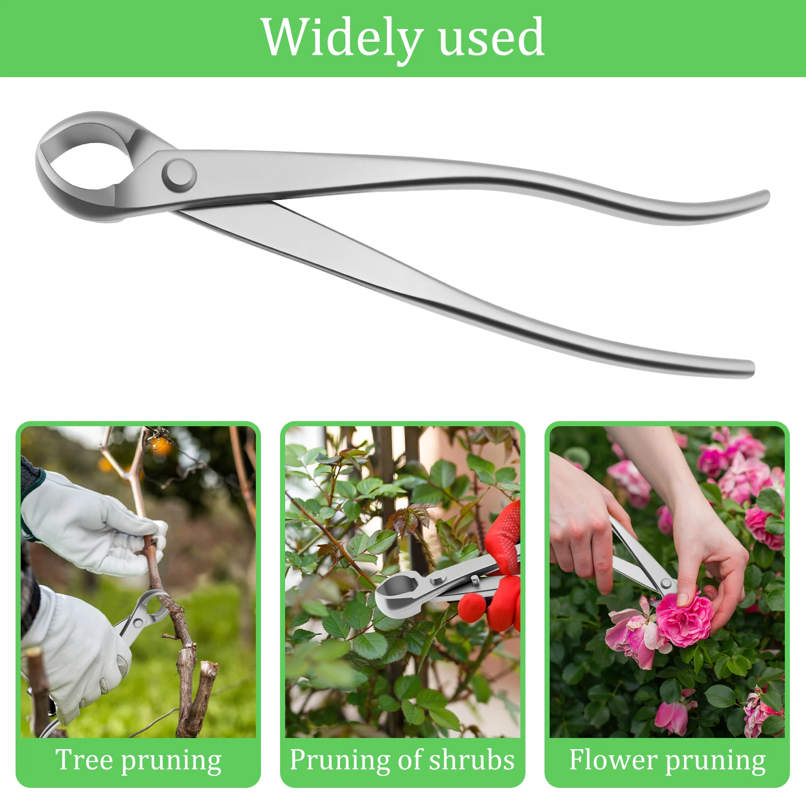 Bonsai Garden Timings - Kit d'entretien des bonsaïs en acier