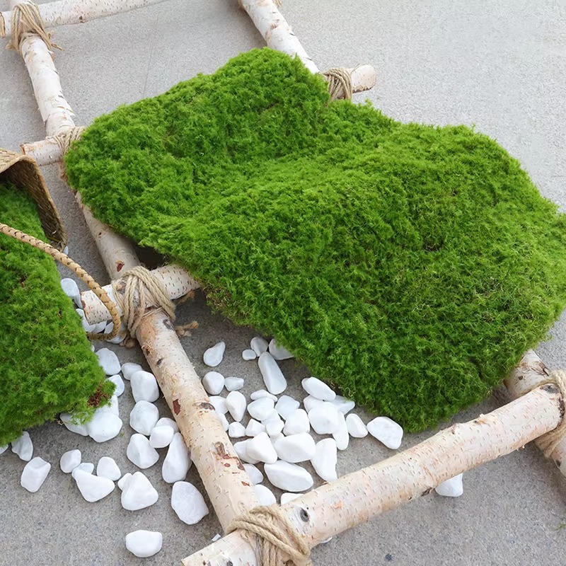 Bonsai Garden Shop - Tapis d'herbe artificielle, Simulation verte, mousse,