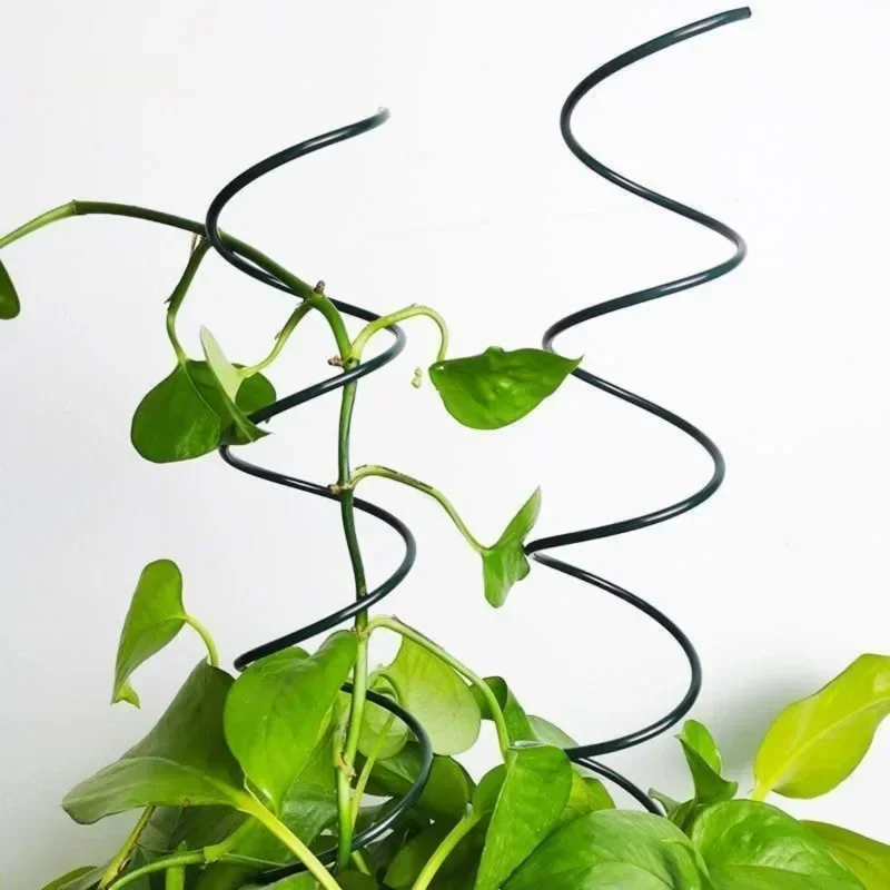 Support de plantes grimpantes, - Bonsai Garden Usa avis et prix
