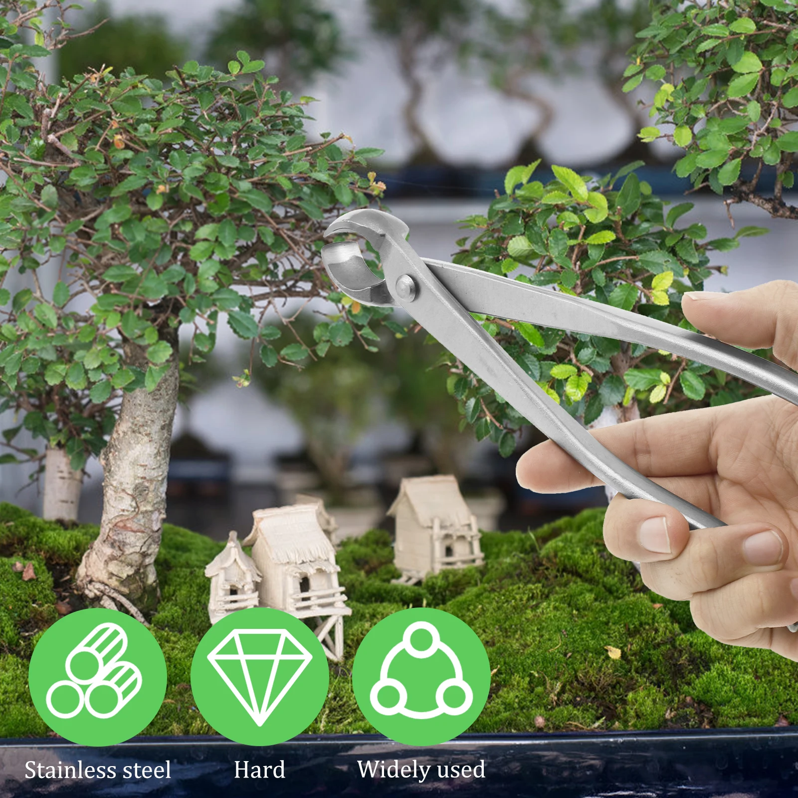 Kit d'entretien pour Bonsaï en - Bonsai Garden Timings avis et prix