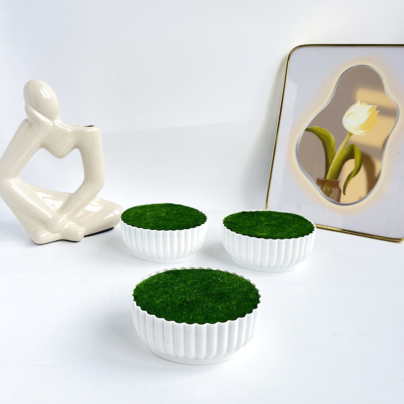Procédé de moulage par injecti - Bonsai Garden Shop avis et prix