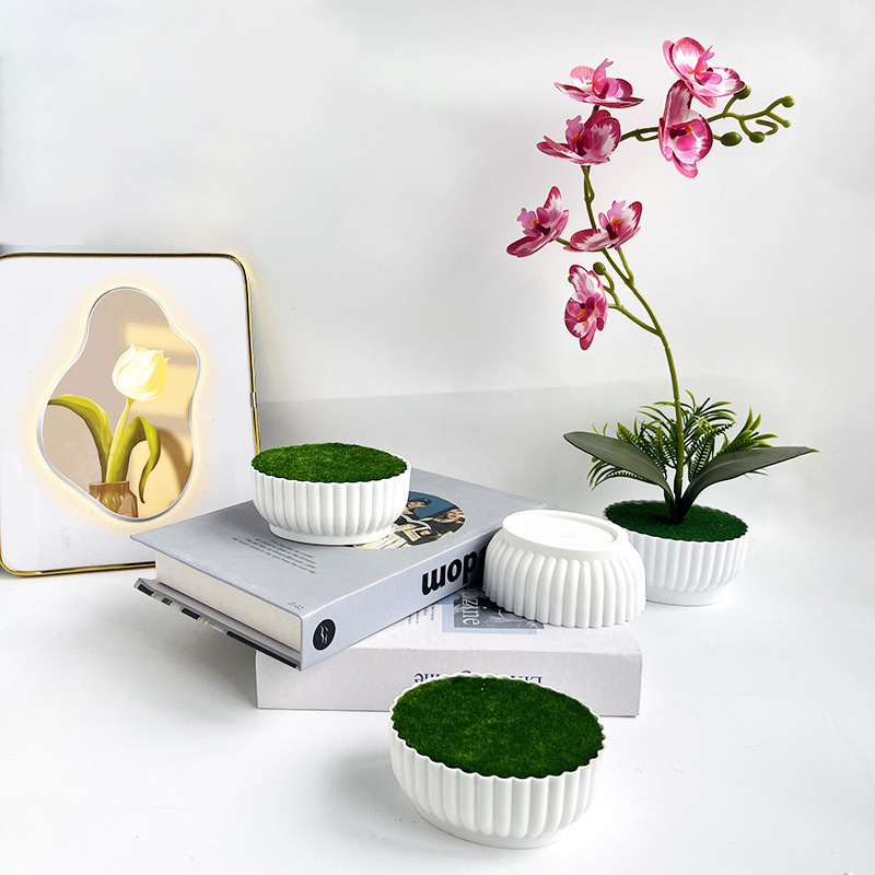 Procédé de moulage par injecti - Bonsai Garden Shop avis et prix