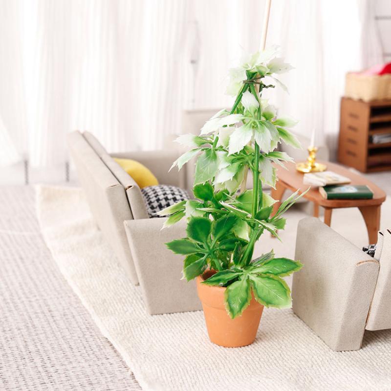 Simulation de plantes vertes p - Bonsai Garden Usa avis et prix