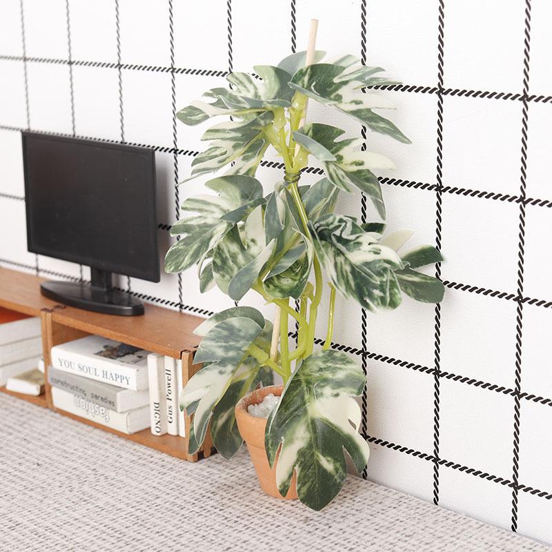 Simulation de plantes vertes p - Bonsai Garden Usa avis et prix