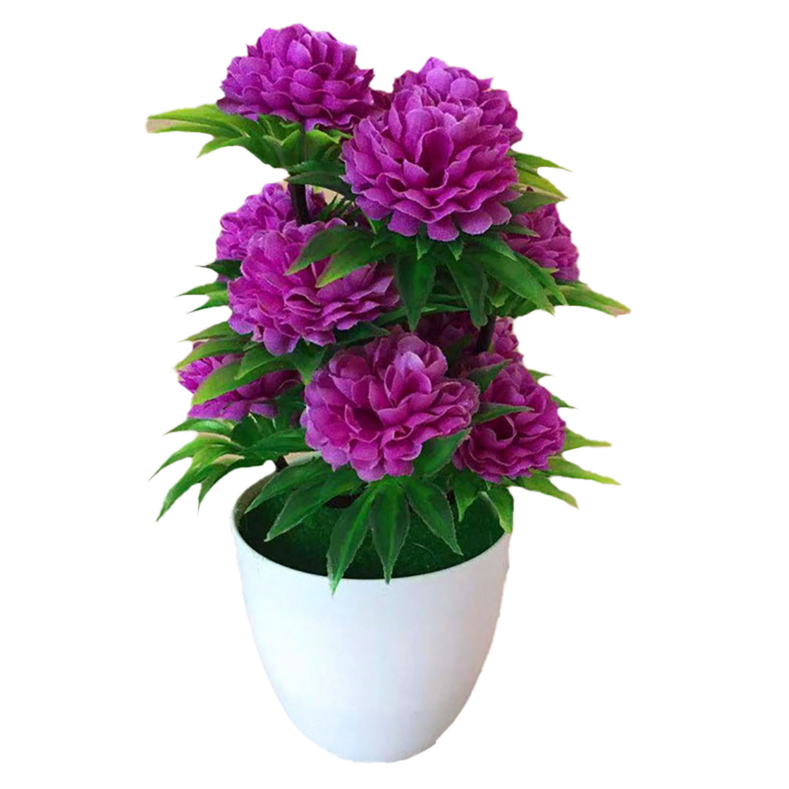 Magnifique Décoration Élégante - Bonsai Garden Shop avis et prix