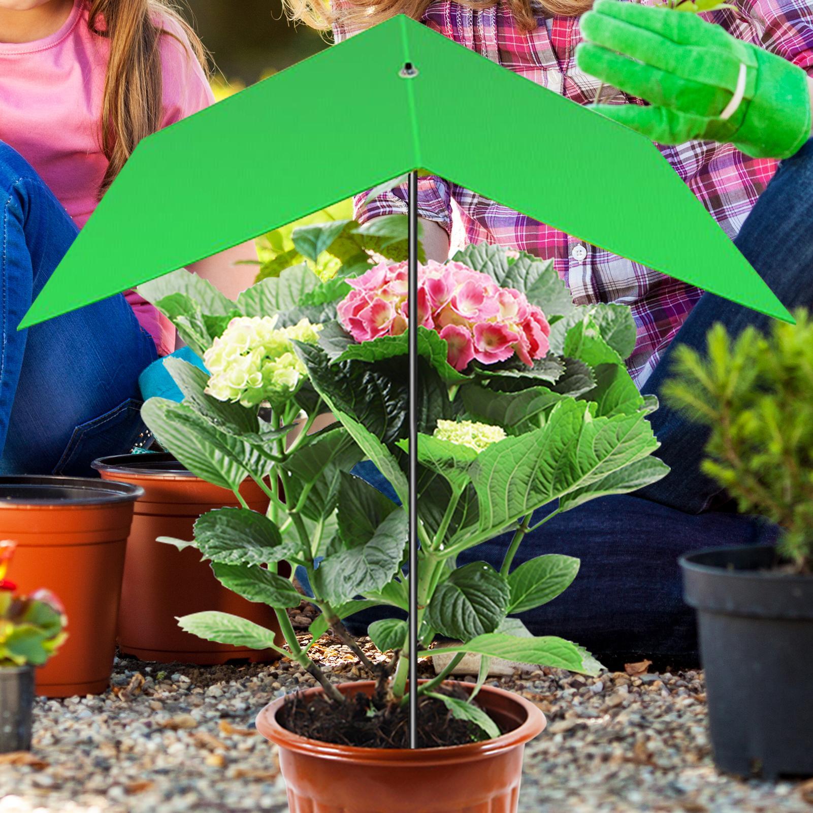 Parasol pour plantes anti-UV,  - Bonsai Garden Backyard avis et prix