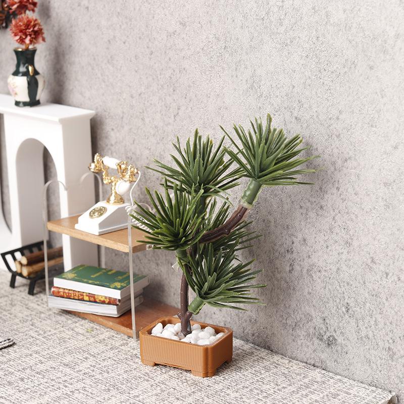 1 pièce, modèle de bonsaï de p - Bonsai Garden Usa avis et prix