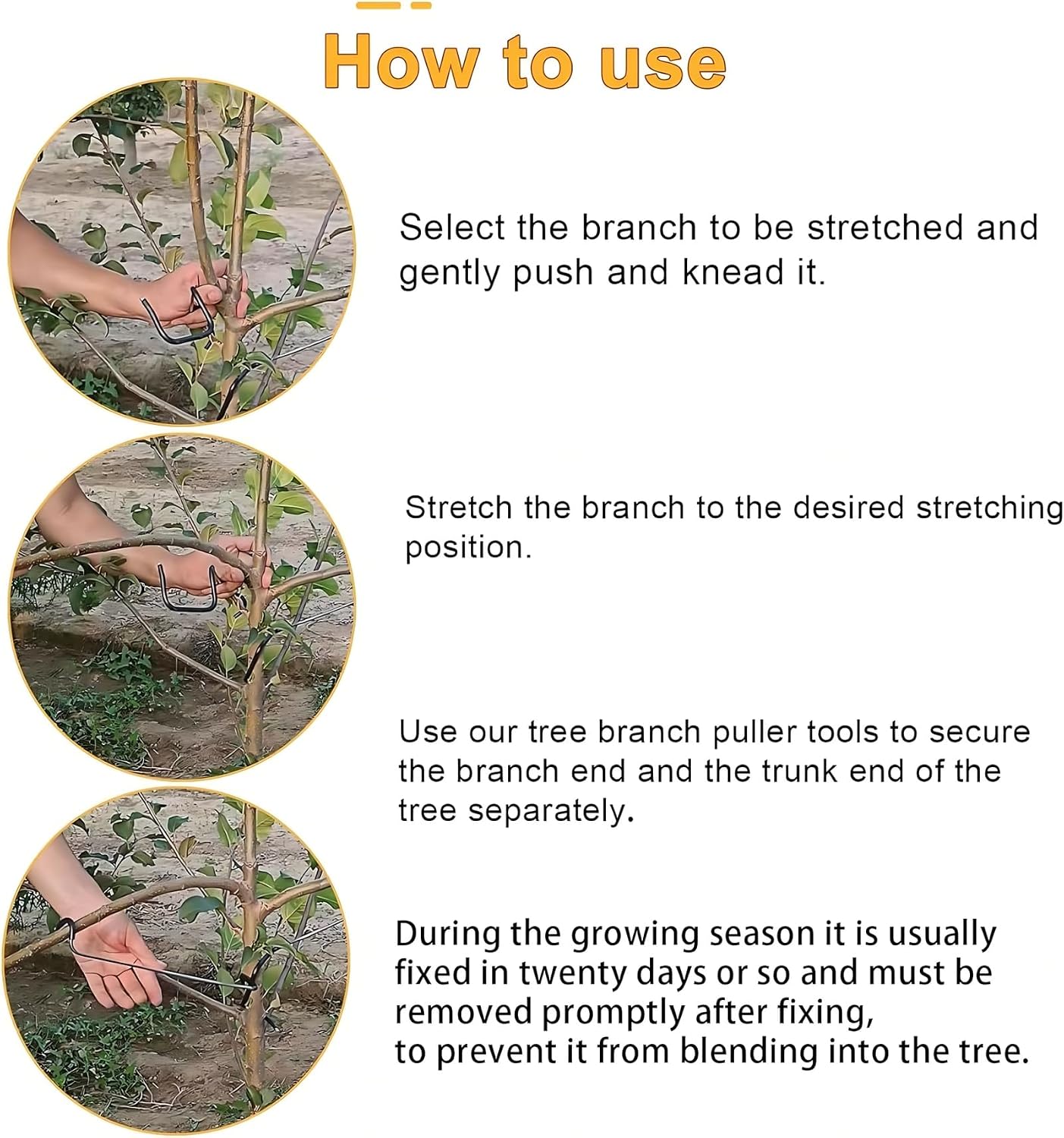 Ajusteur de branches d'arbres  - Bonsai Garden Usa avis et prix
