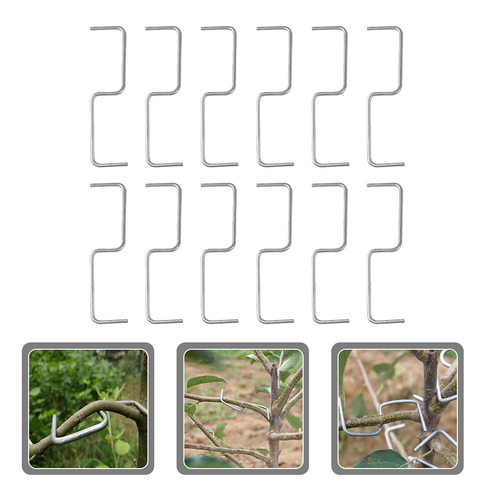 1 ensemble d'outils de formati - Bonsai Garden Usa avis et prix