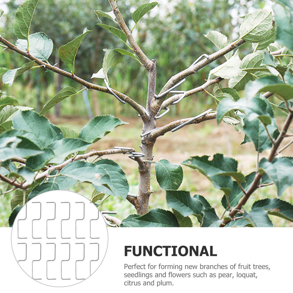 1 ensemble d'outils de formati - Bonsai Garden Usa avis et prix