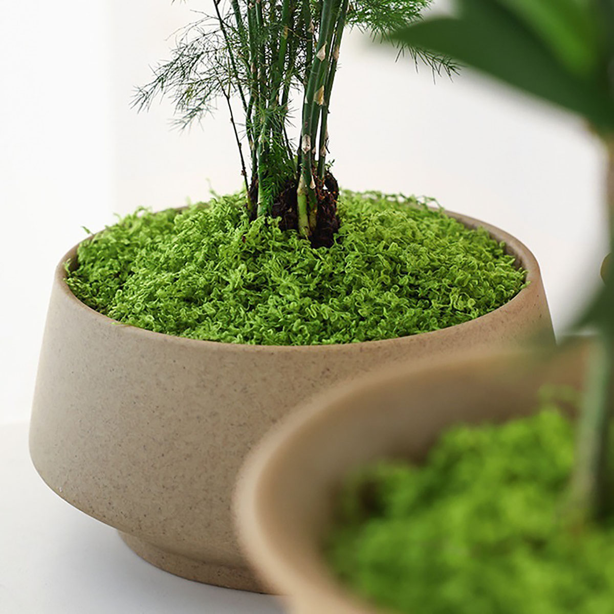 Plantes vertes artificielles e - Bonsai Garden Decor avis et prix