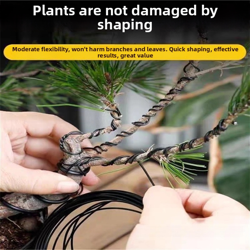 Fils de bonsaï en aluminium de - Bonsai Garden Usa avis et prix