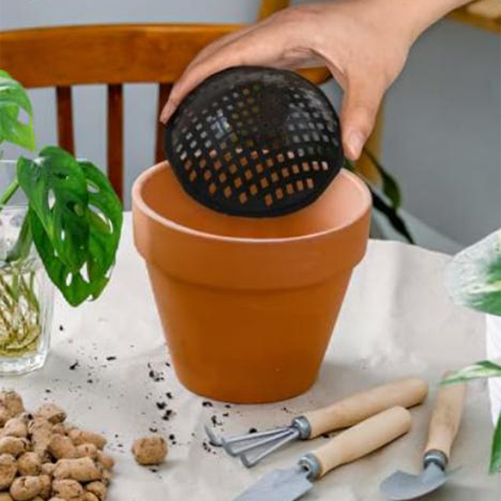 20/30 pièces de tampons en mai - Bonsai Garden Decor avis et prix