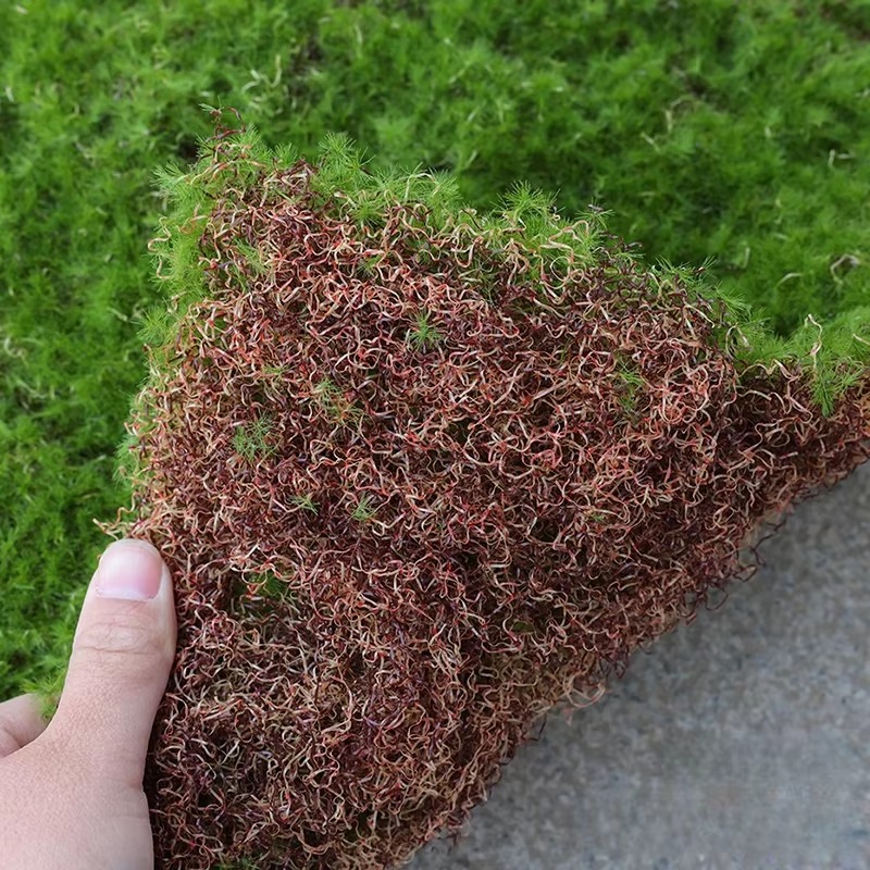 Tapis d'herbe artificielle, Si - Bonsai Garden Shop avis et prix