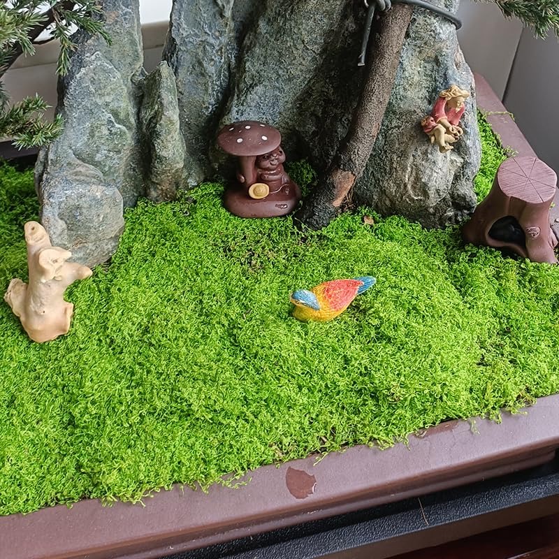 Tapis d'herbe artificielle, Si - Bonsai Garden Shop avis et prix