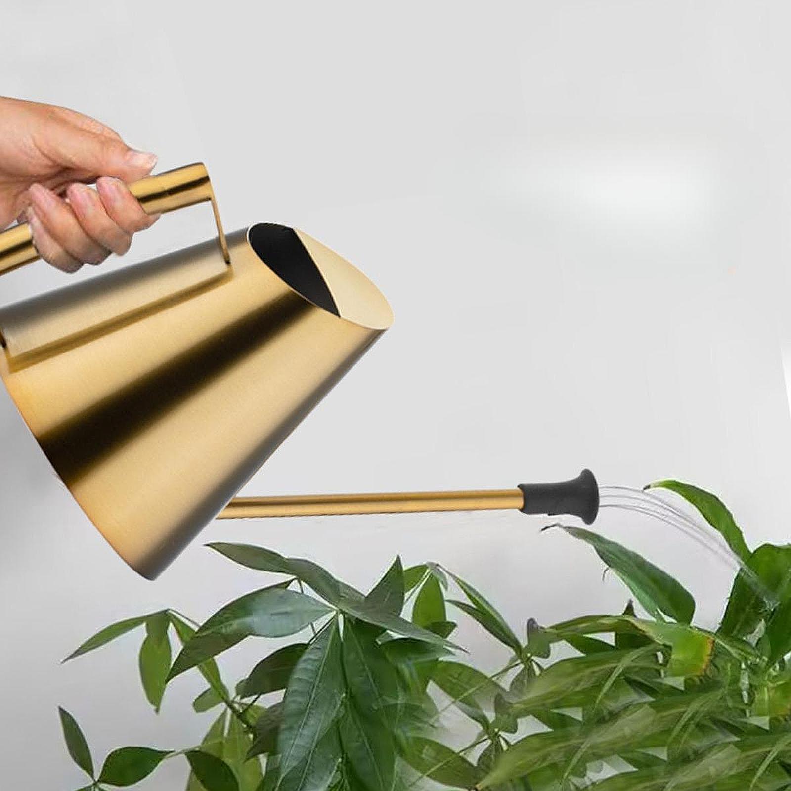 Arrosoir de 900 ml avec tête d - Bonsai Garden Backyard avis et prix