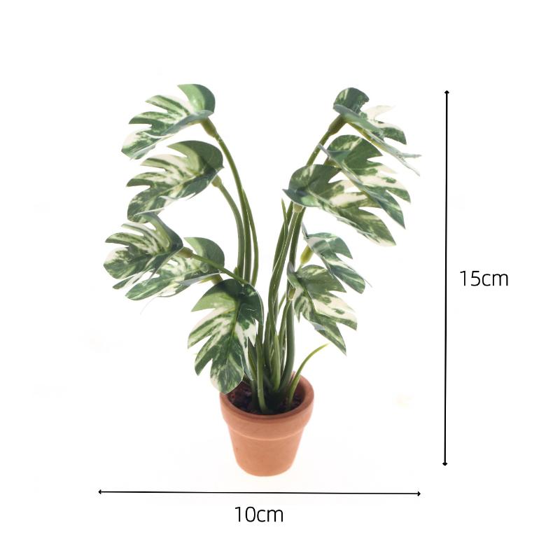 Nouveau. 1 pièce. Plante verte - Bonsai Garden Usa avis et prix