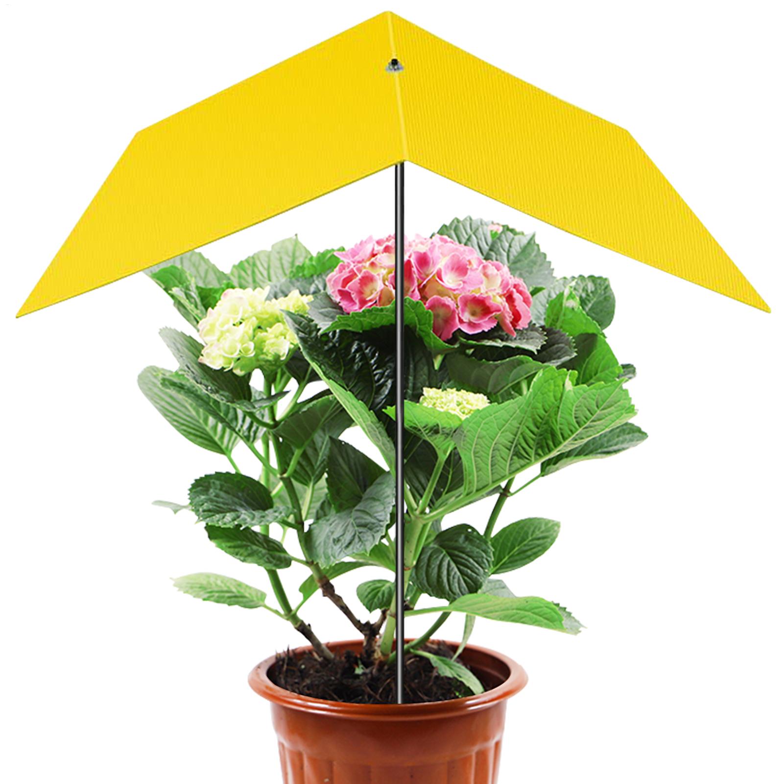 Parasols pour plantes d'extéri - Bonsai Garden Backyard avis et prix