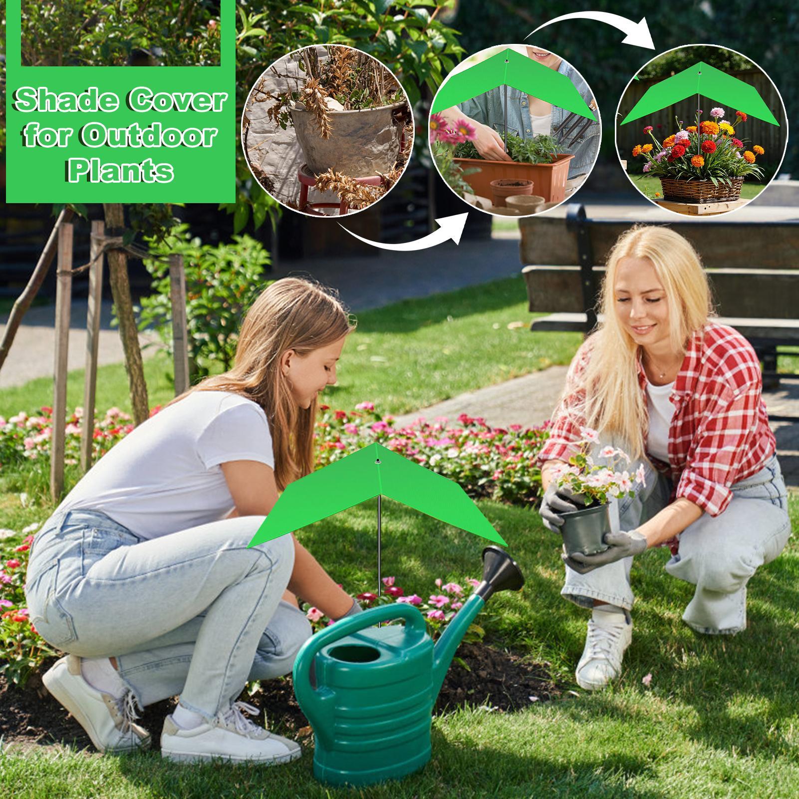 Parasols pour plantes d'extéri - Bonsai Garden Backyard avis et prix