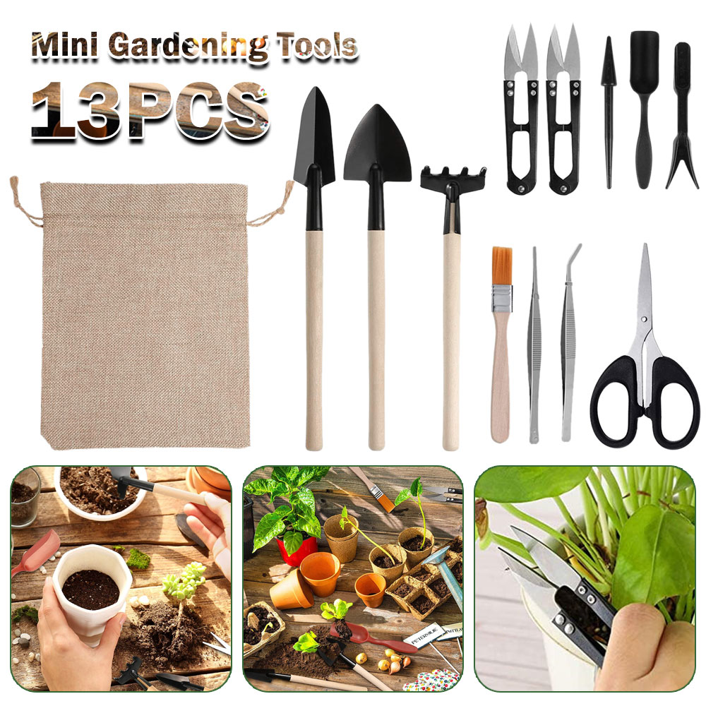 Outils pour plantes succulente - Bonsai Garden Miniature avis et prix