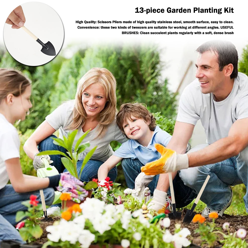 Outils pour plantes succulente - Bonsai Garden Miniature avis et prix