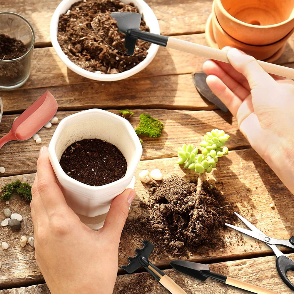 Outils pour plantes succulente - Bonsai Garden Miniature avis et prix
